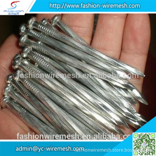 Polished common nails galvanized black concrete nail